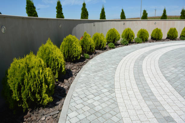 Reasons to Select Us for Your Driveway Paving Requirements in Wadesboro, NC